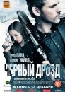 Черный дрозд